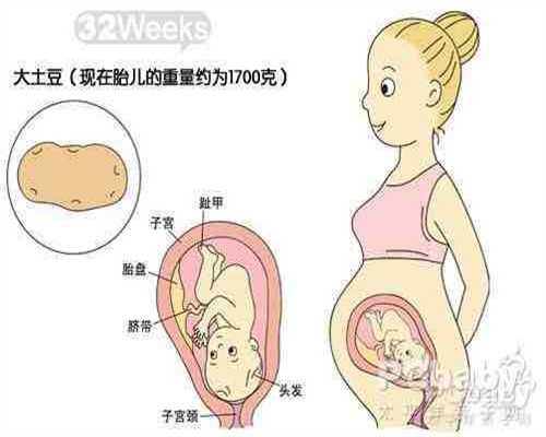 西安国内代孕费用_西安代孕在哪些国家合法_孕妇怀孕可以吃泡菜吗