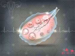 试管供卵多少钱_金贝供卵_子宫内膜异位症有哪些危害 危害很大患者需警惕