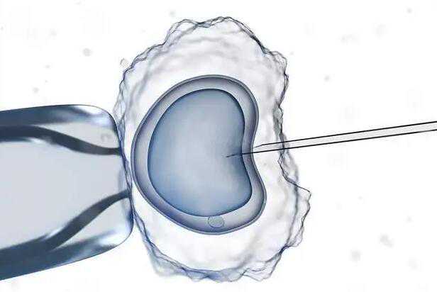 鲜胚三级7细胞胚胎质量好吗？