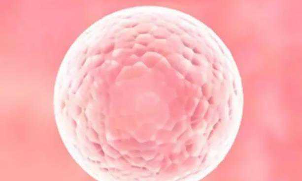 p06Fk_自然周期移植冻囊胚详细用药步骤是怎么样的？
